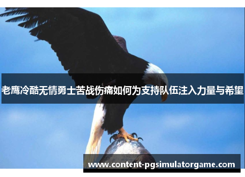 老鹰冷酷无情勇士苦战伤痛如何为支持队伍注入力量与希望