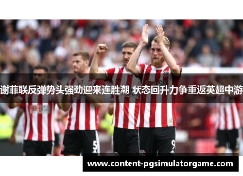 谢菲联反弹势头强劲迎来连胜潮 状态回升力争重返英超中游